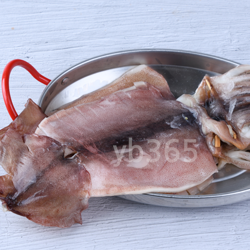 동해안 반건조오징어(피데기) 1kg700/특미 10미